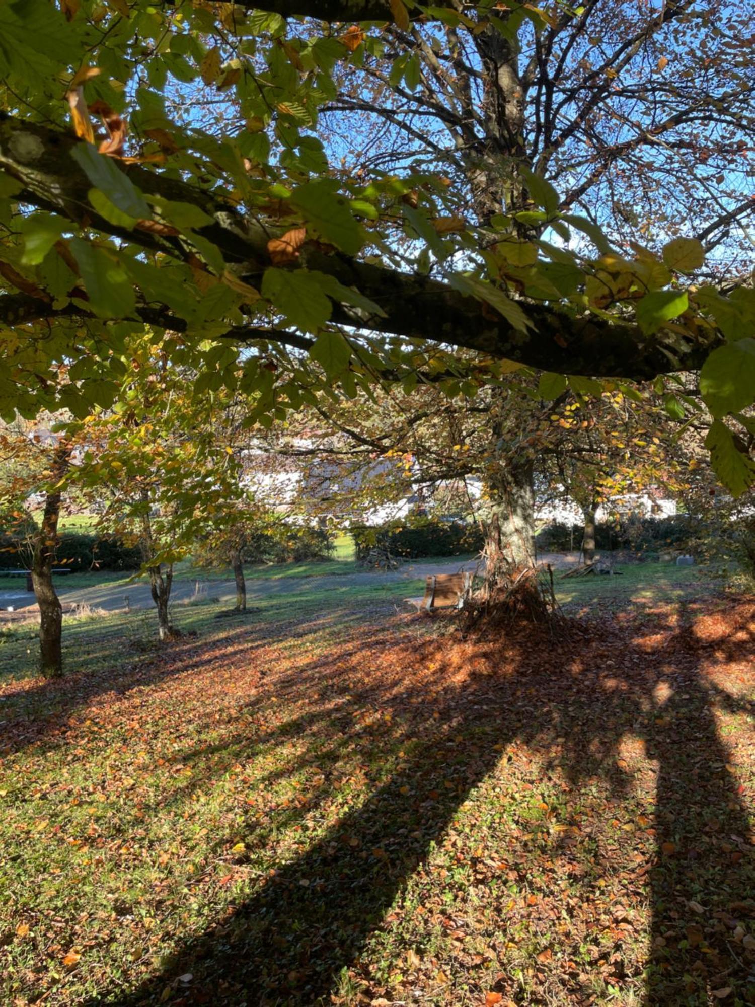 Naach Mattes Villa Blankenheim  Bagian luar foto