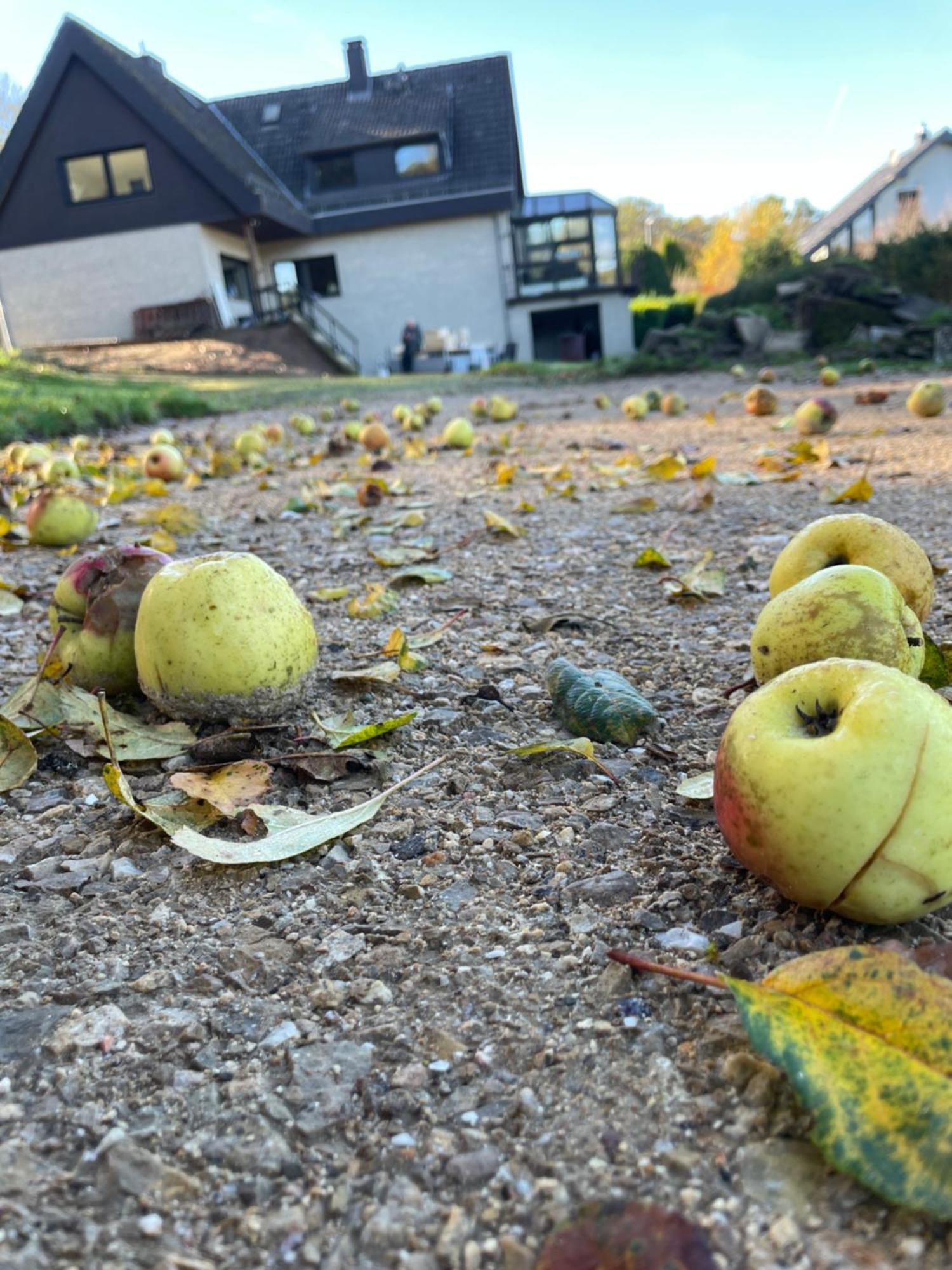 Naach Mattes Villa Blankenheim  Bagian luar foto